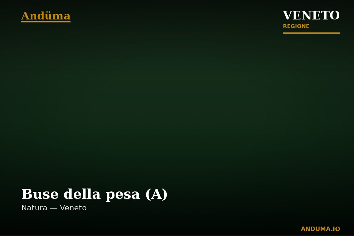 Buse della pesa (A) — Punto di interesse , Venezia
