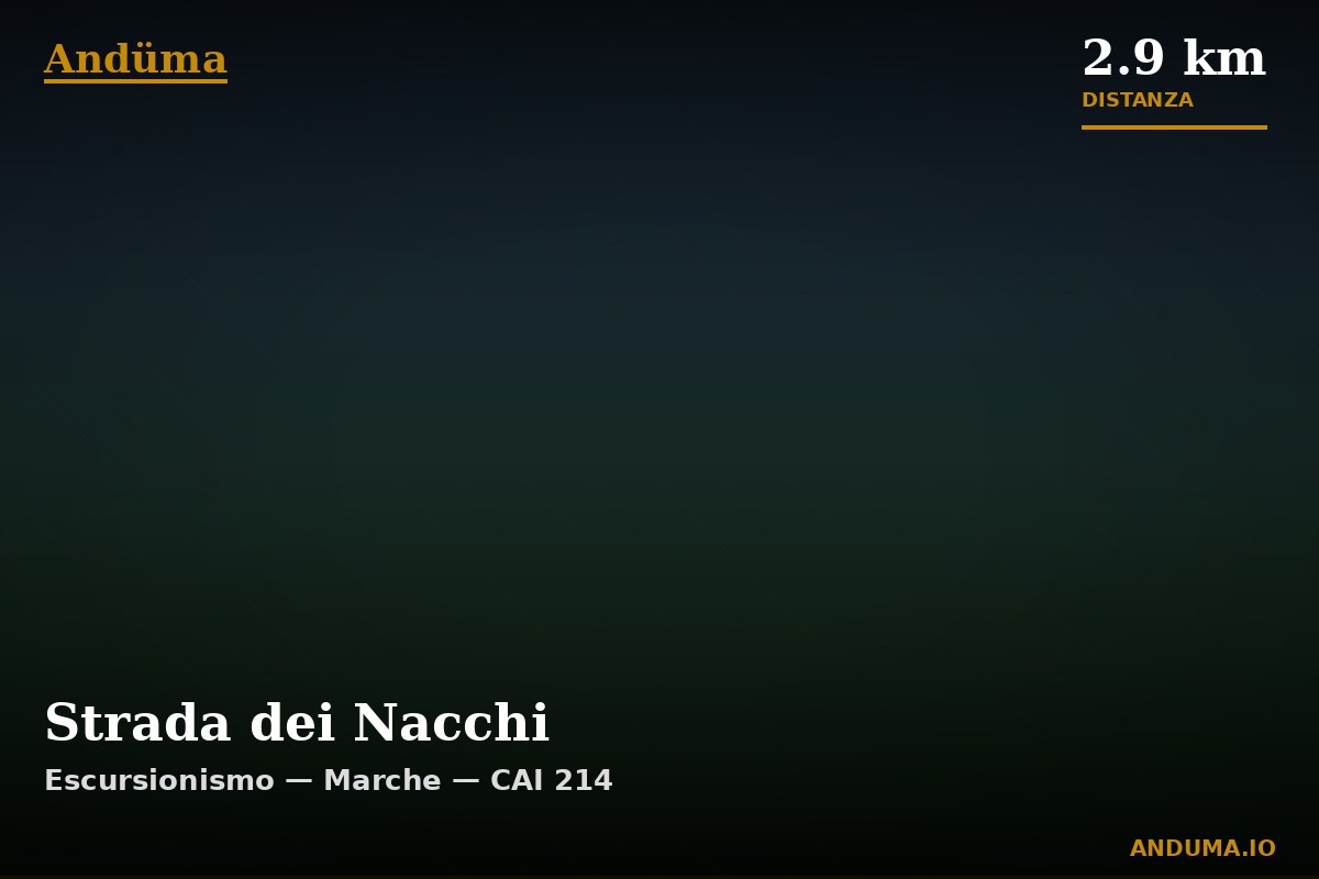 Strada dei Nacchi — Punto di interesse , Piedmont