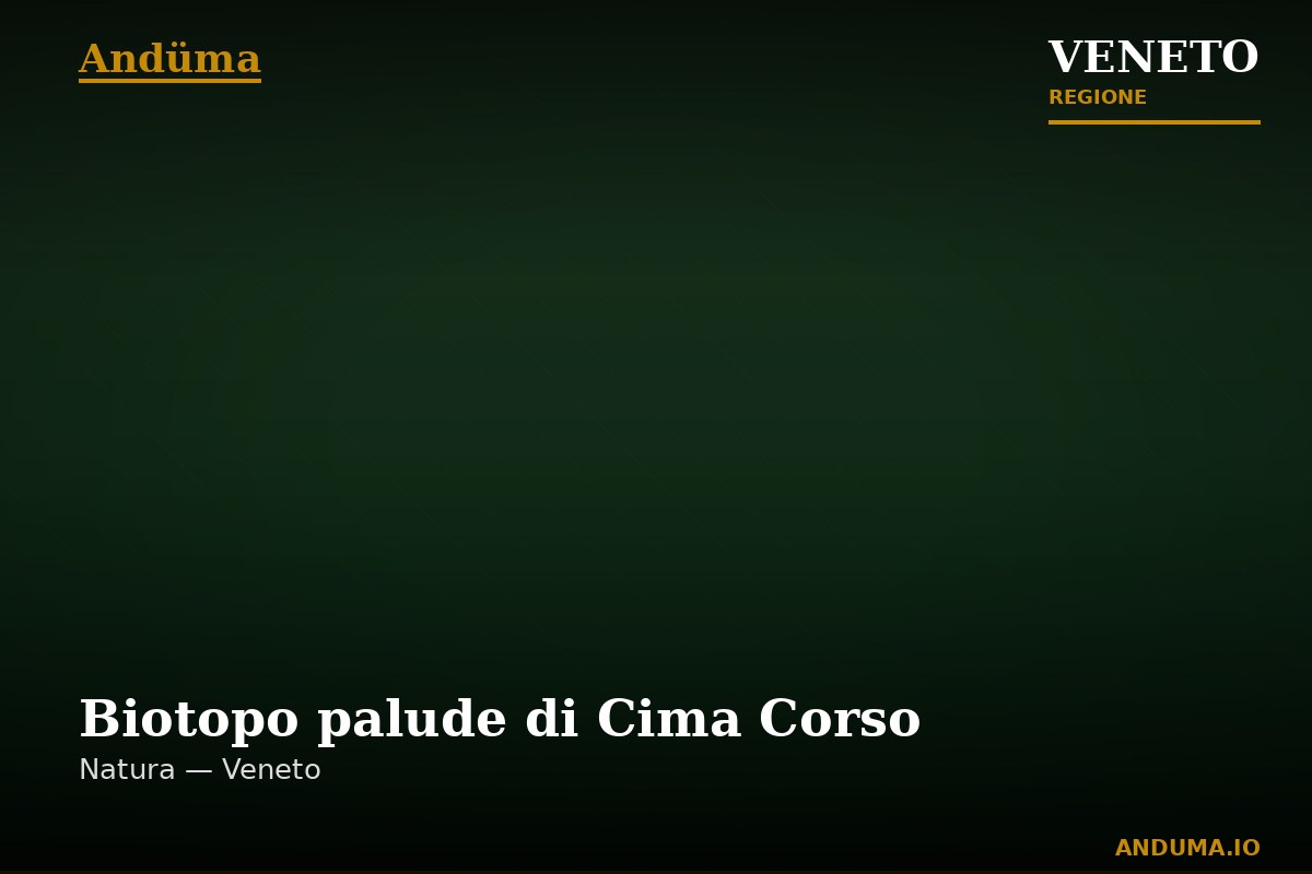 Biotopo palude di Cima Corso — Punto di interesse , Venezia