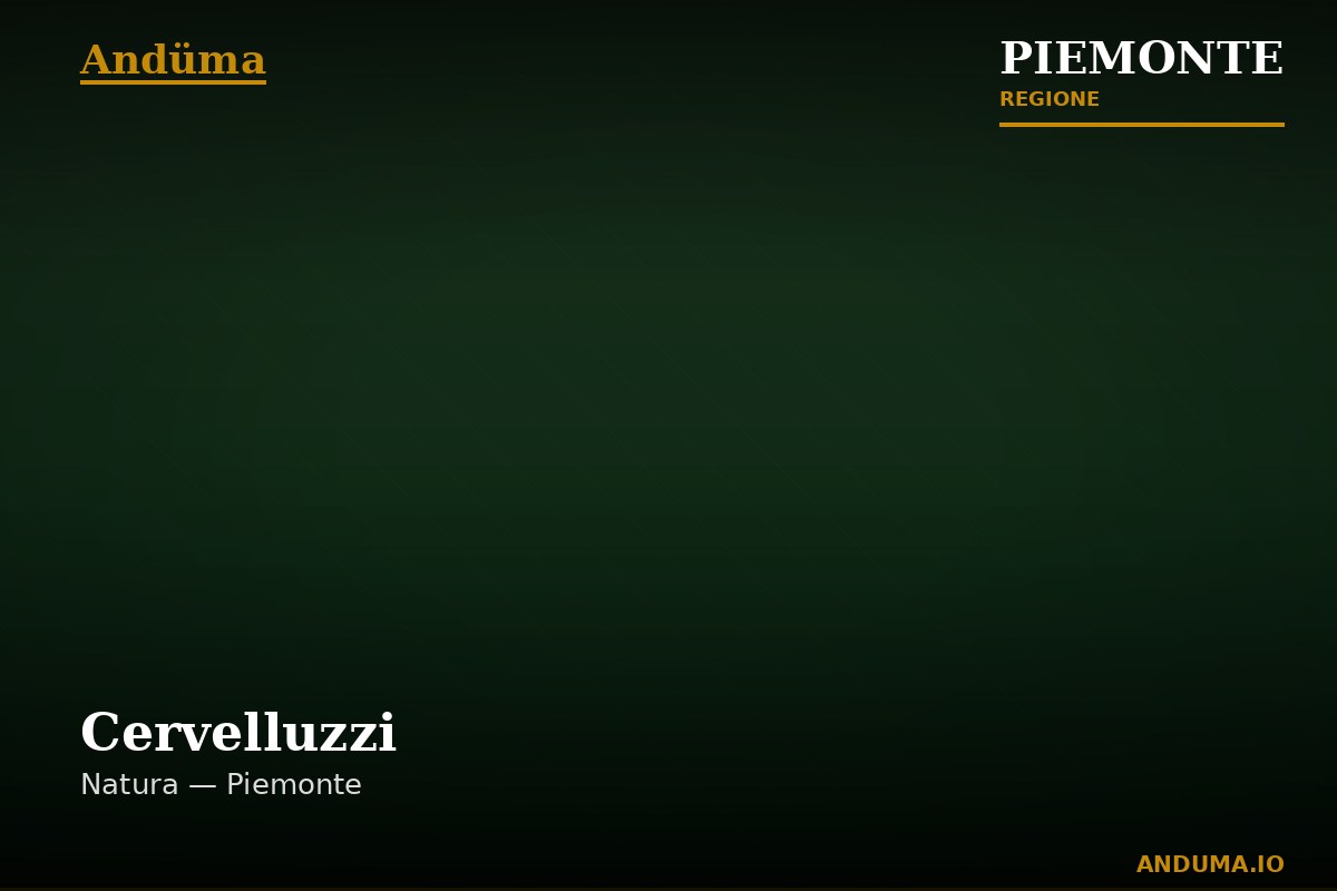 Cervelluzzi