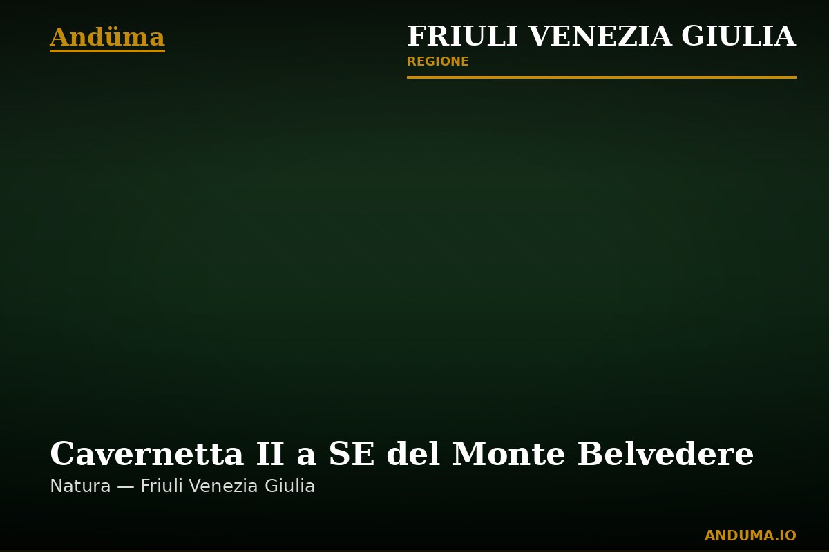 Cavernetta II a SE del Monte Belvedere — Punto di interesse a Trieste, Trieste