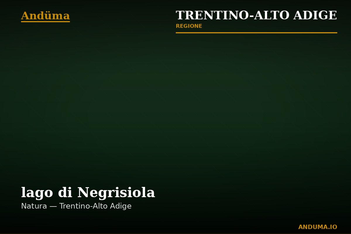 lago di Negrisiola — Punto di interesse , Trento