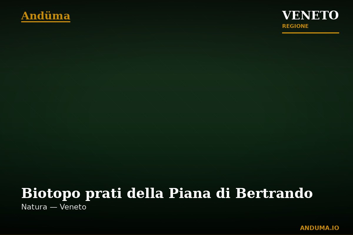 Biotopo prati della Piana di Bertrando — Punto di interesse , Venezia