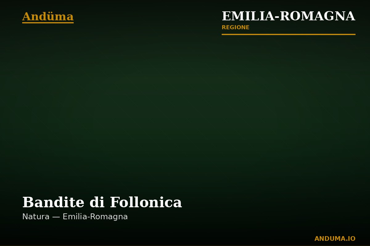 Bandite di Follonica — Punto di interesse , Bologna