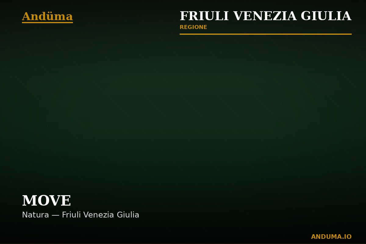 MOVE — Punto di interesse a Trieste, Trieste