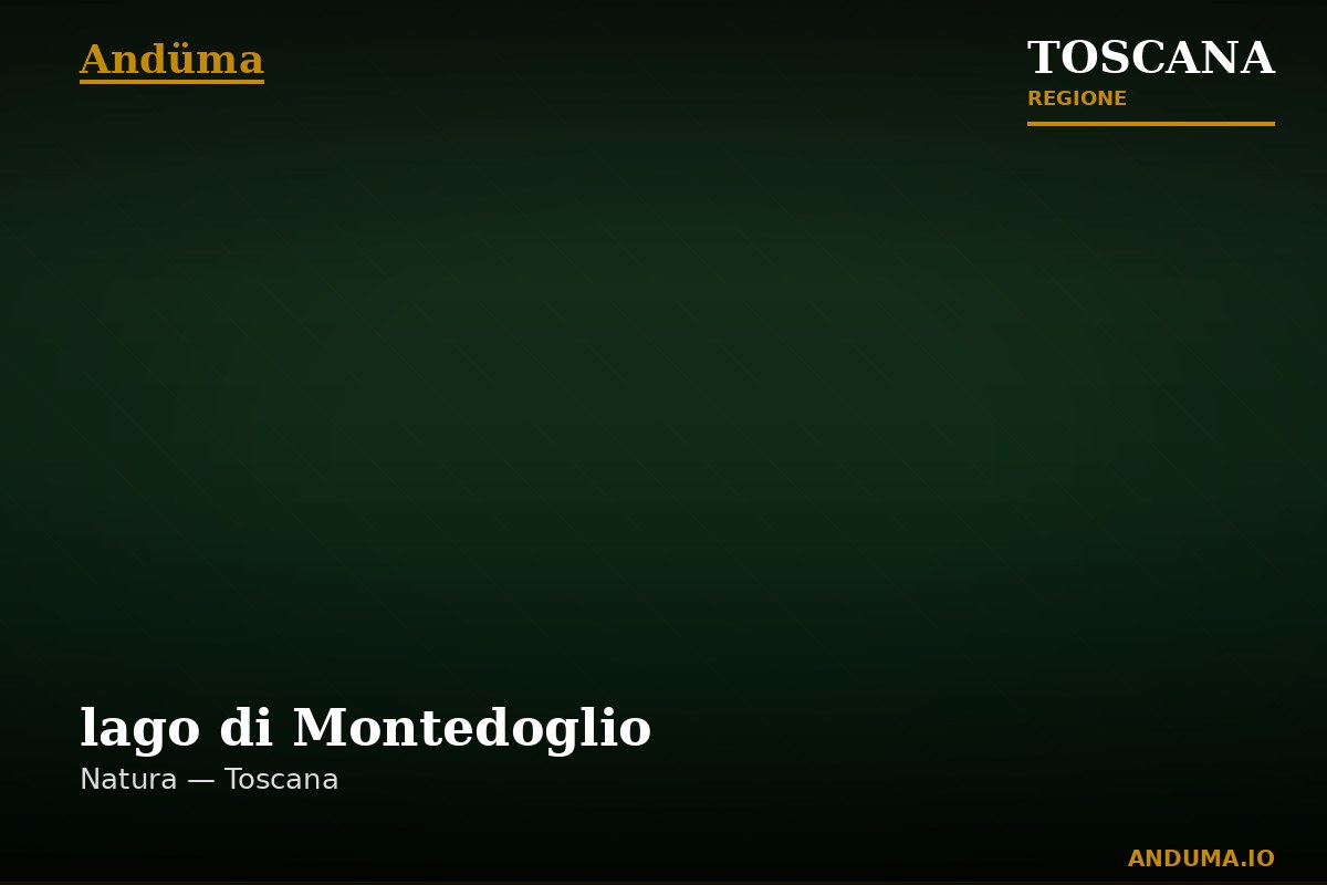lago di Montedoglio — Punto di interesse , Firenze