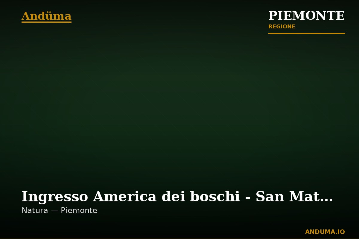Ingresso America dei boschi - San Matteo