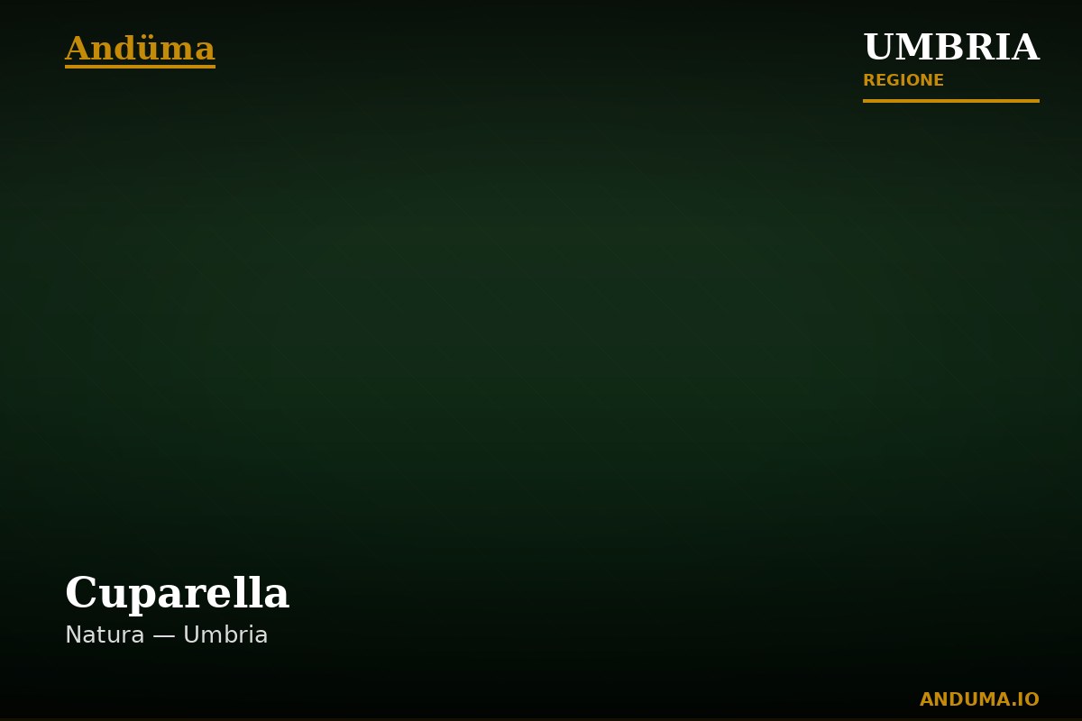 Cuparella — Punto di interesse a Perugia, Perugia