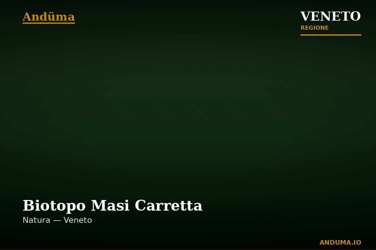 Biotopo Masi Carretta — Punto di interesse , Venezia