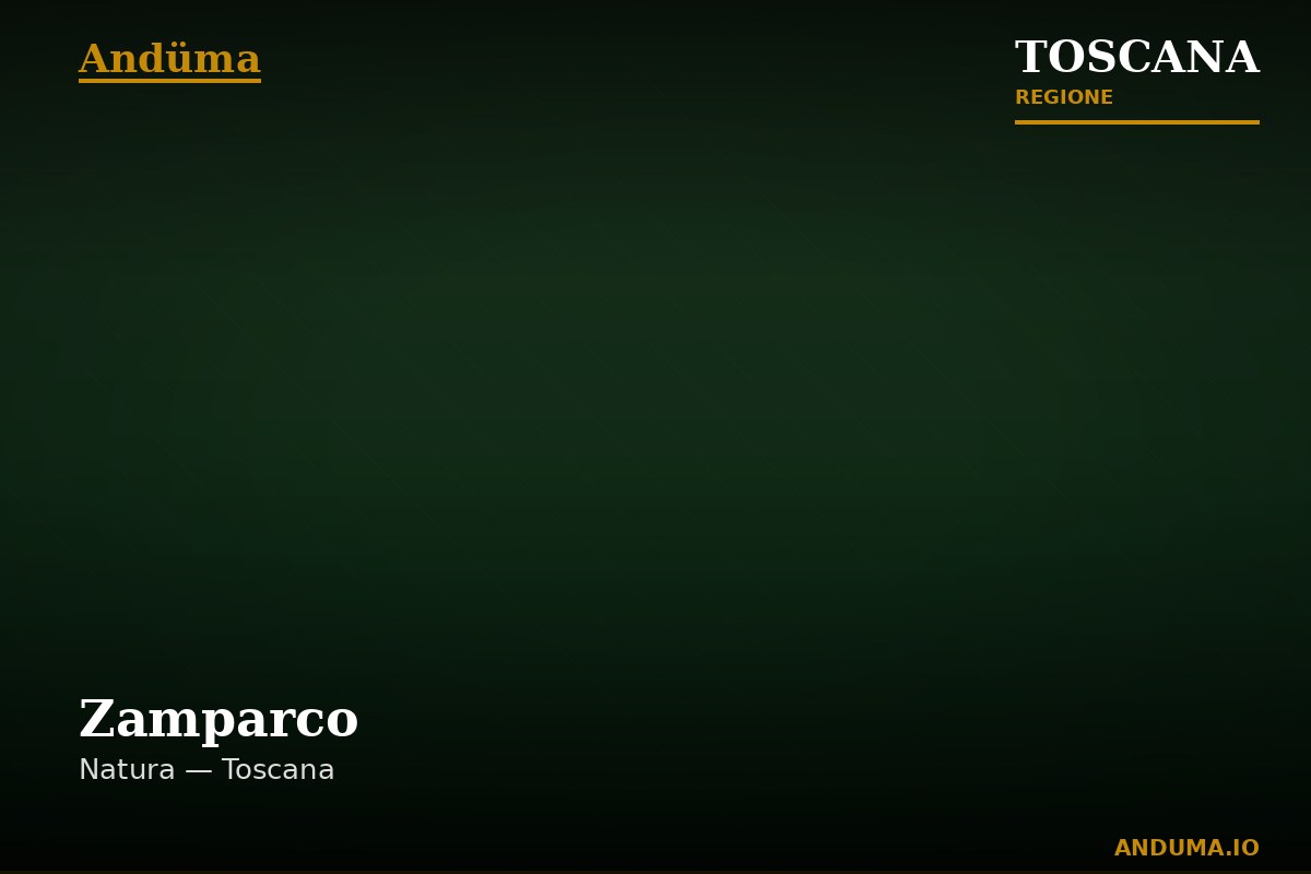 Zamparco — Punto di interesse a Firenze, Firenze