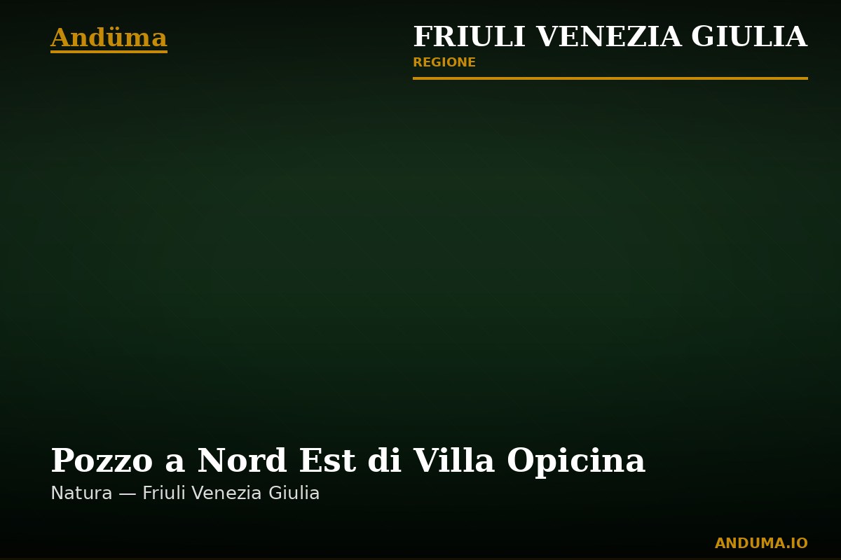 Pozzo a Nord Est di Villa Opicina — Punto di interesse a Trieste, Trieste