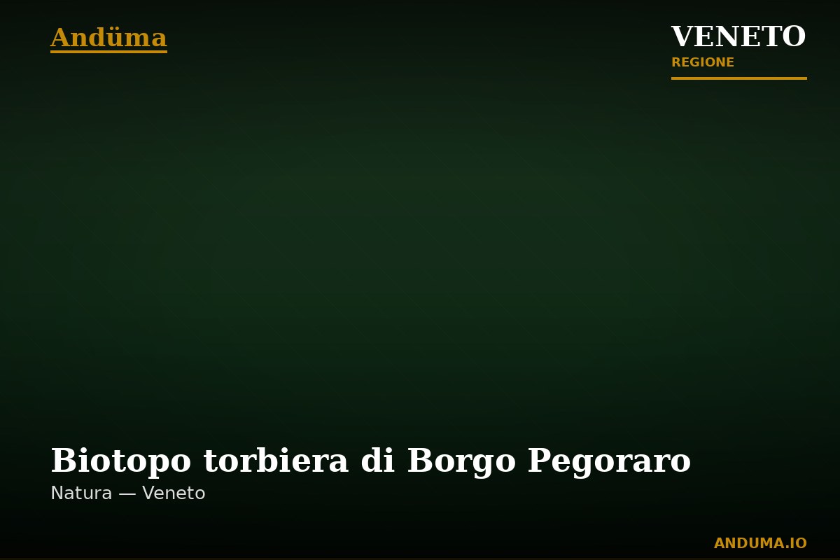 Biotopo torbiera di Borgo Pegoraro — Punto di interesse , Venezia