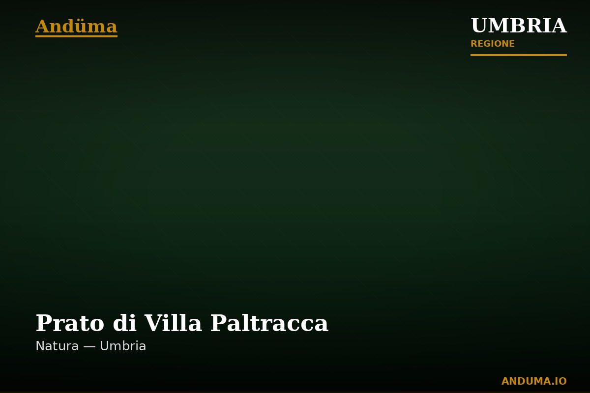 Prato di Villa Paltracca — Punto di interesse a Perugia, Perugia