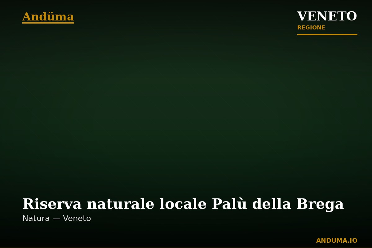 Riserva naturale locale Palù della Brega — Punto di interesse , Venezia