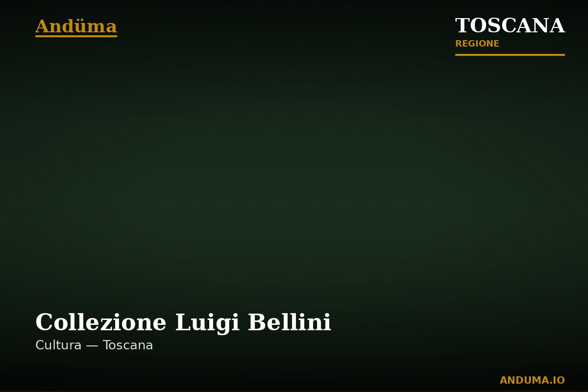 Collezione Luigi Bellini — Punto di interesse a Firenze, Firenze