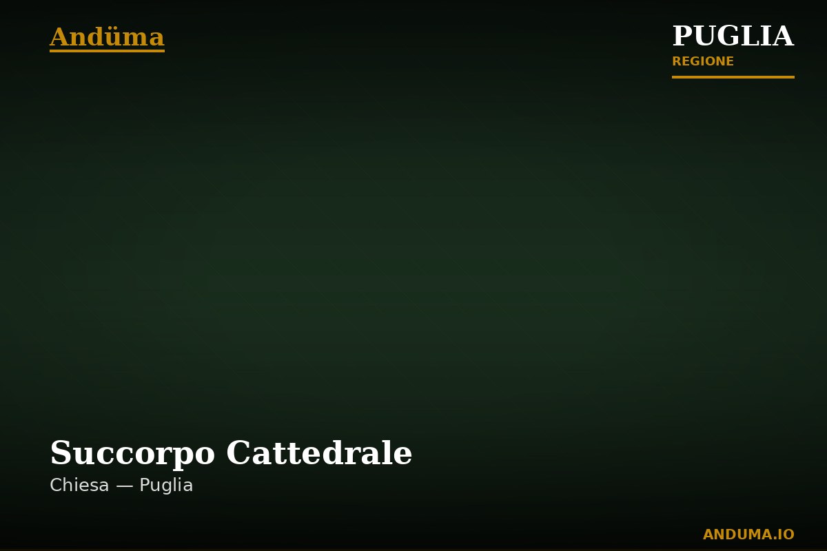 Succorpo Cattedrale — Punto di interesse a Bari, Bari