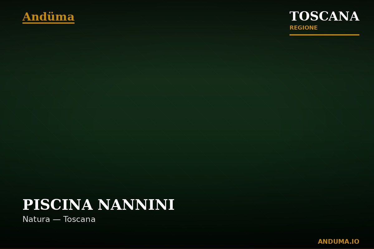 PISCINA NANNINI — Punto di interesse a Firenze, Firenze