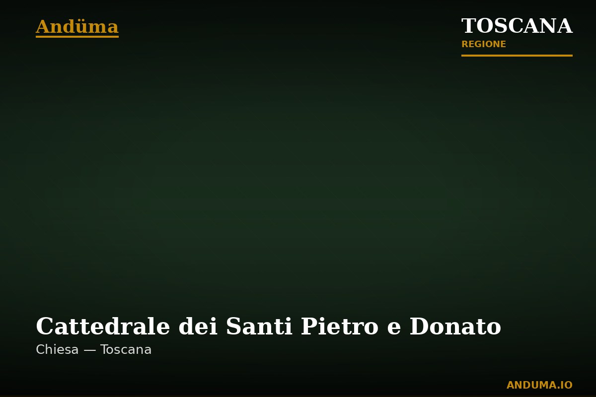 In zona: Cattedrale dei Santi Pietro e Donato