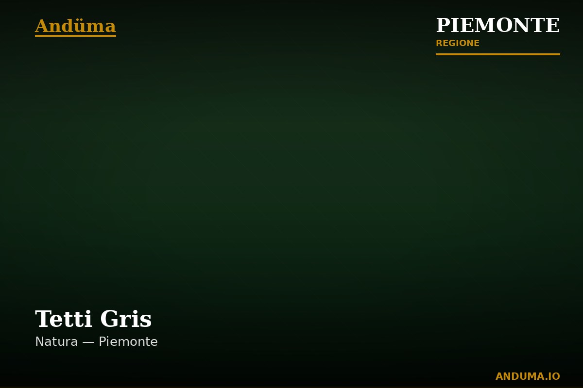 Tetti Gris