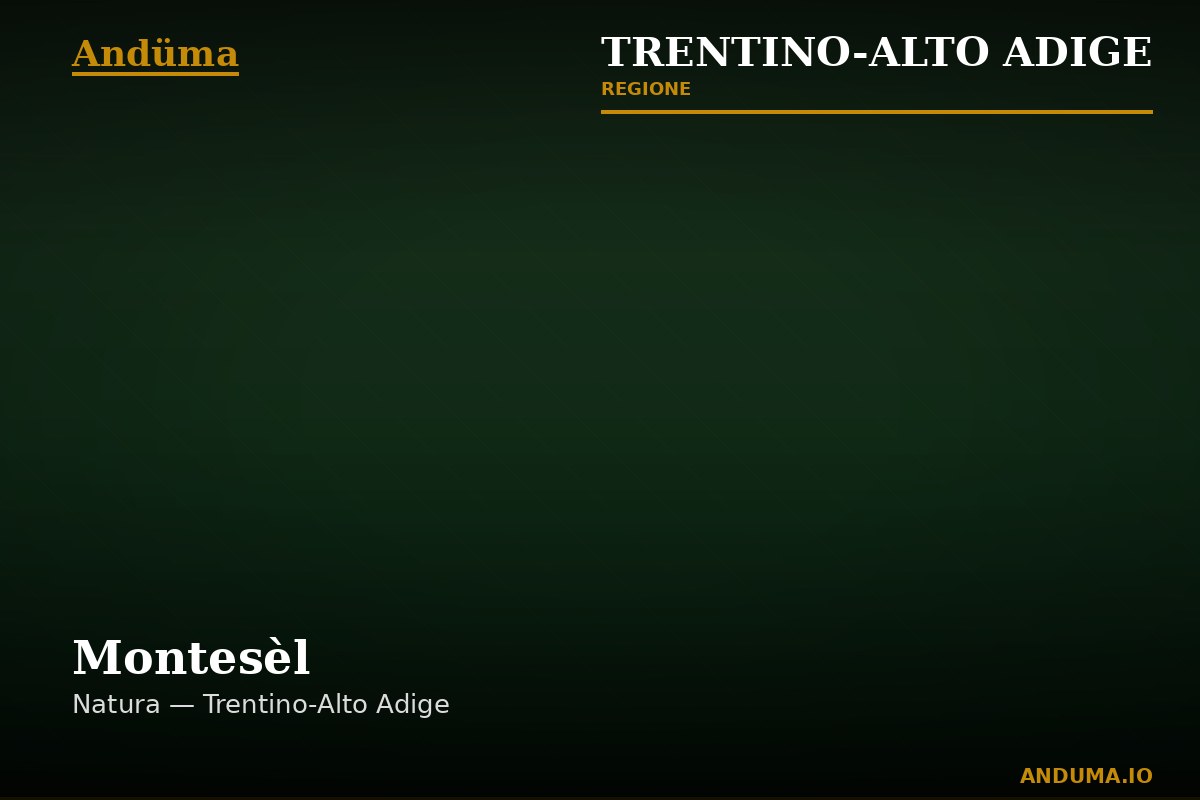 Montesèl — Punto di interesse a Trento, Trento