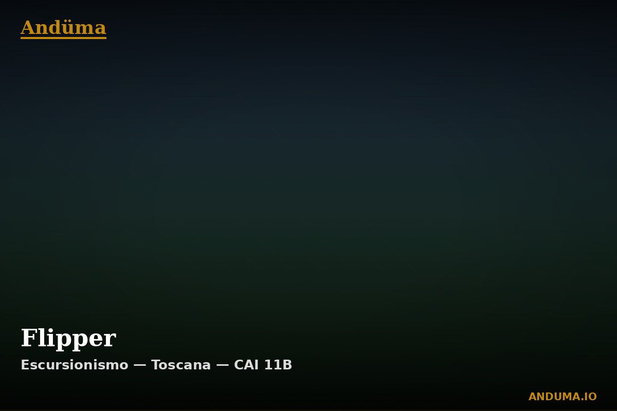 Flipper — Punto di interesse , Piedmont
