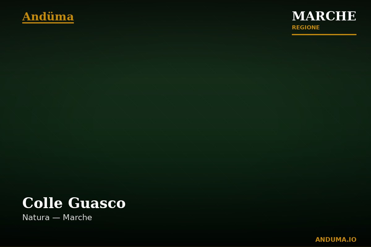 Colle Guasco — Punto di interesse a Ancona, Ancona