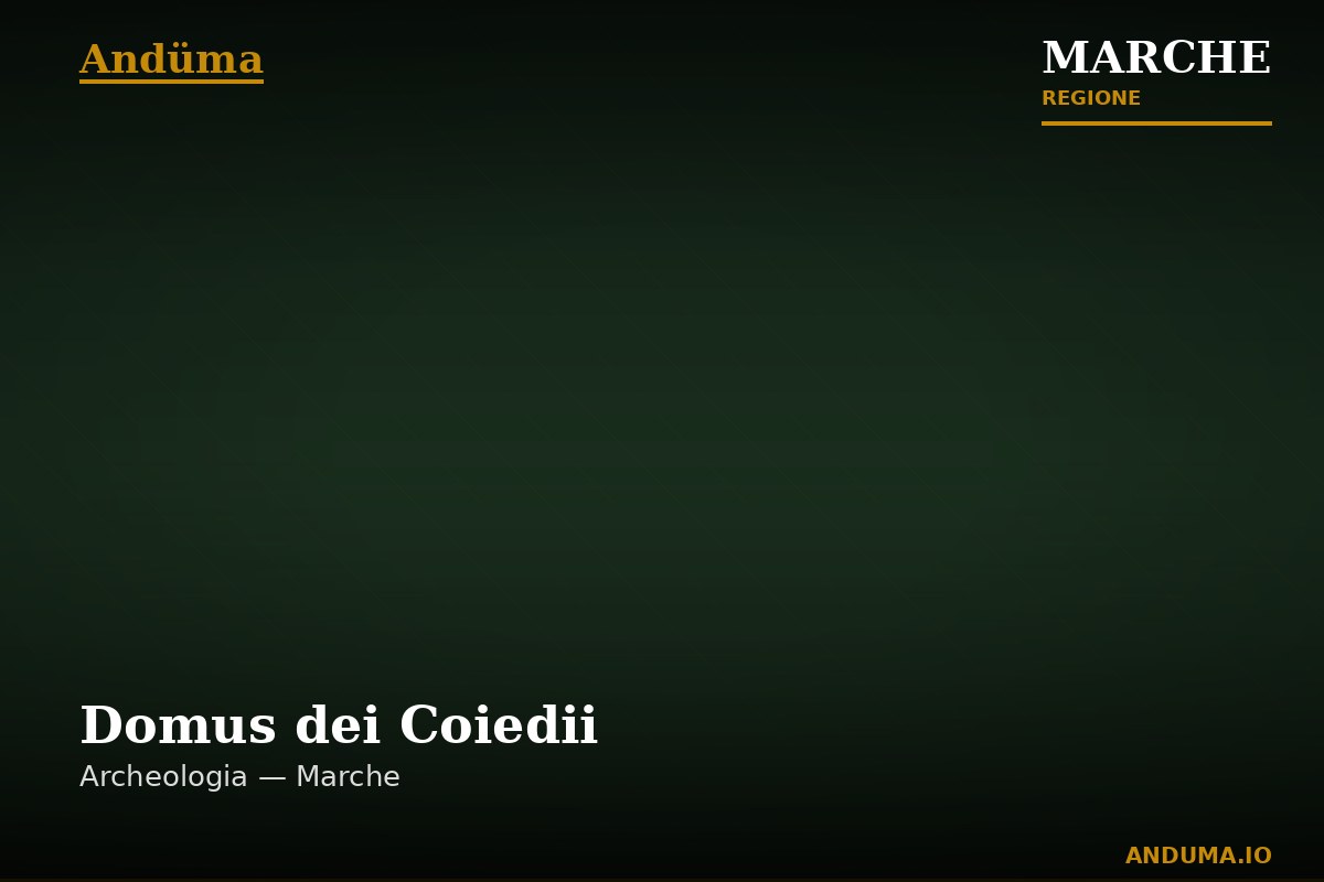 Domus dei Coiedii — Punto di interesse , Ancona