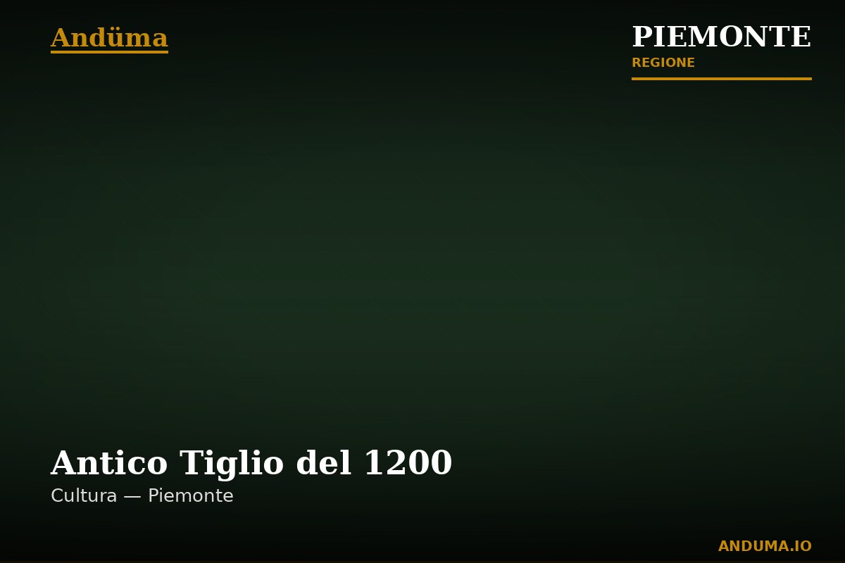 Antico Tiglio del 1200
