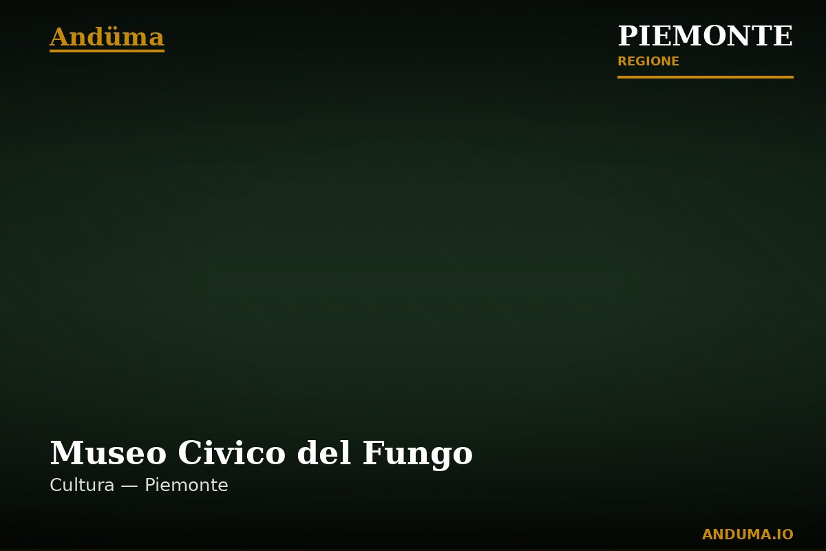 Museo Civico del Fungo