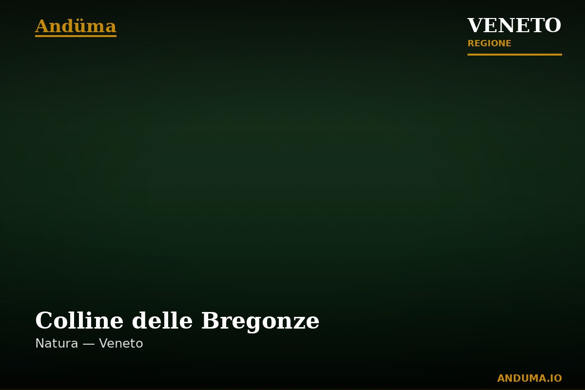 Colline delle Bregonze — Punto di interesse , Venezia