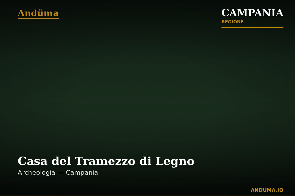 Casa del Tramezzo di Legno — Punto di interesse , Napoli