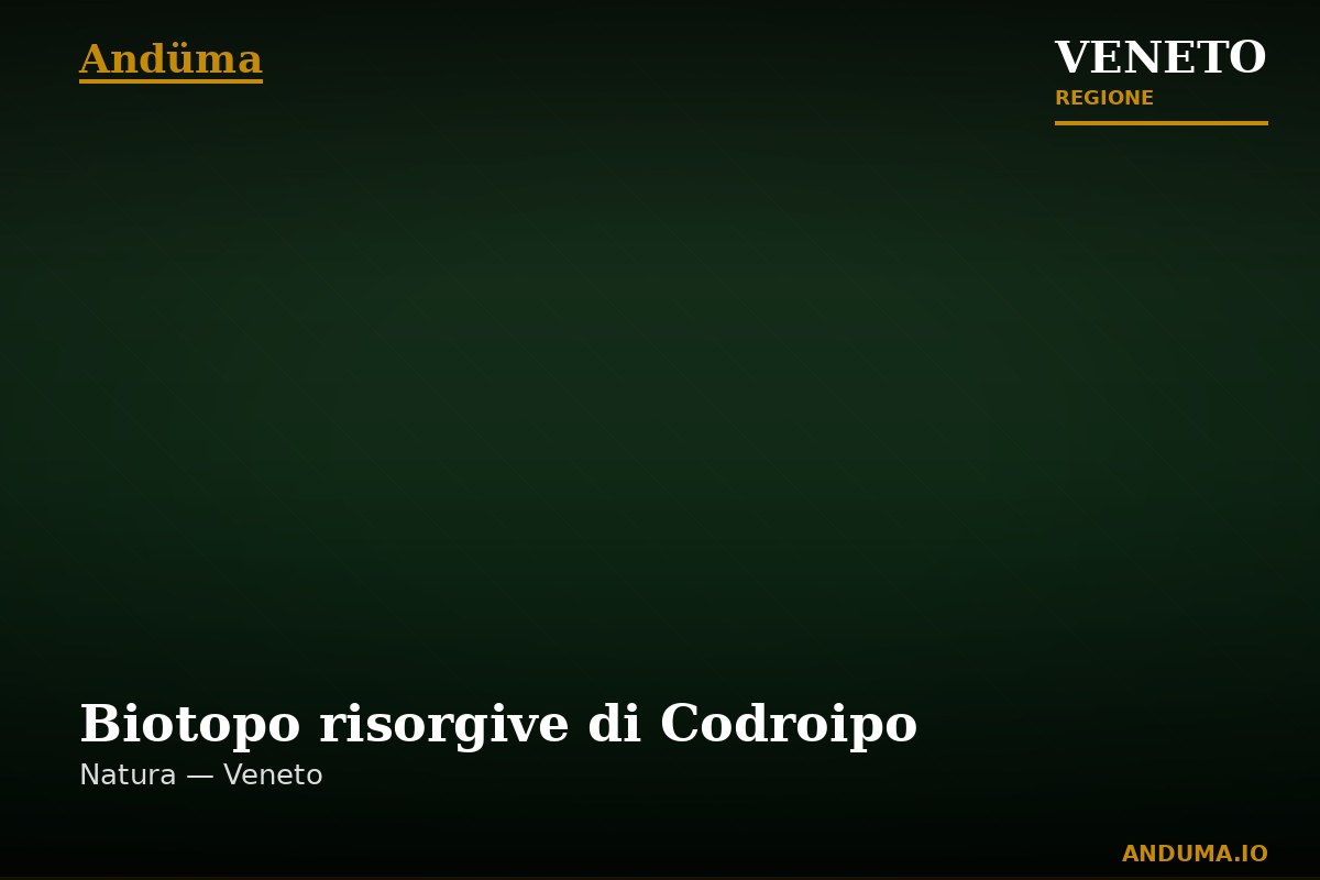 Biotopo risorgive di Codroipo — Punto di interesse , Venezia