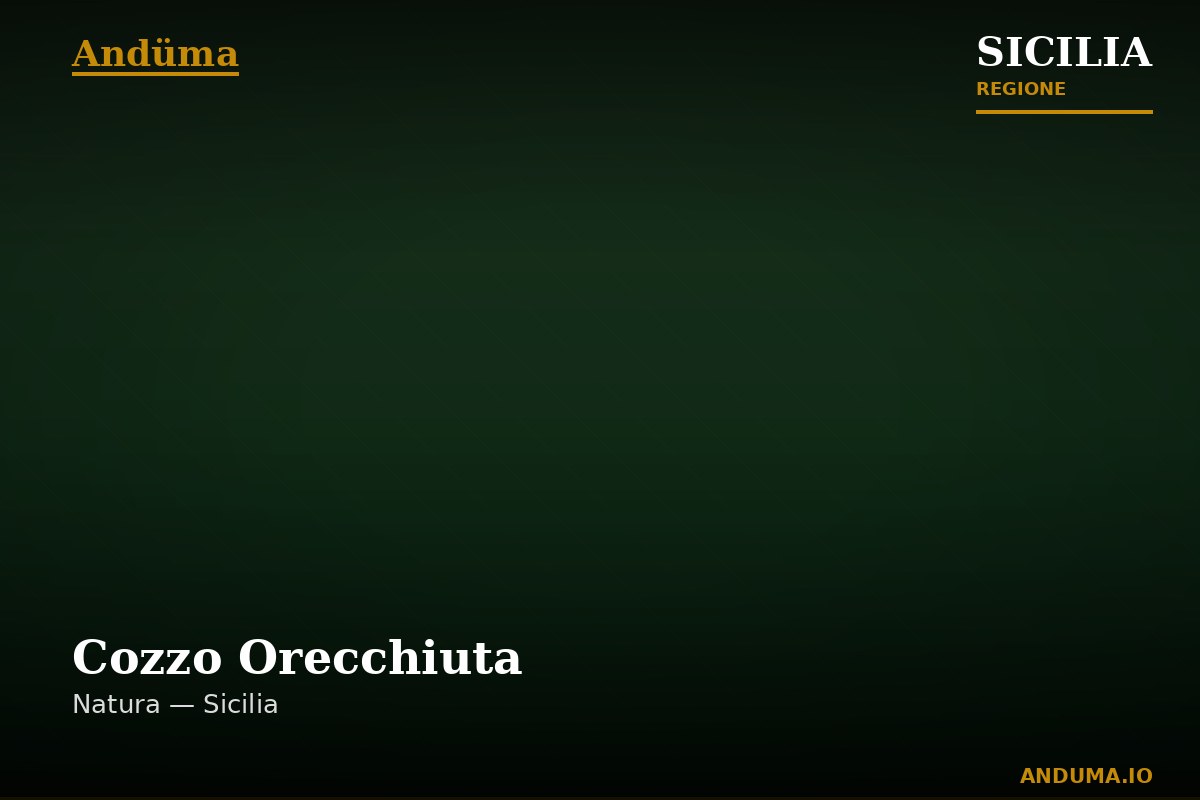 Cozzo Orecchiuta — Punto di interesse a Palermo, Palermo