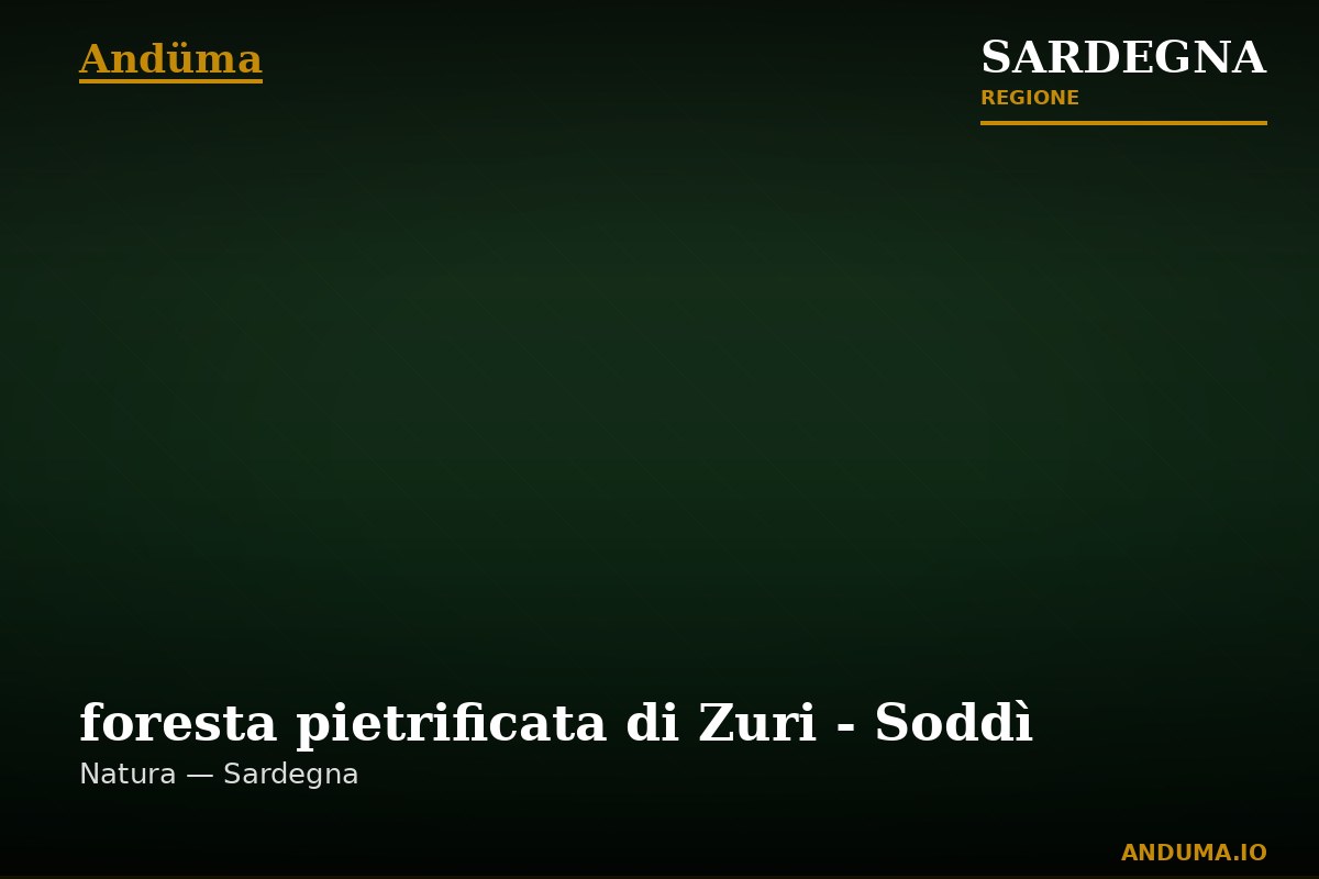 foresta pietrificata di Zuri - Soddì — Punto di interesse , Cagliari