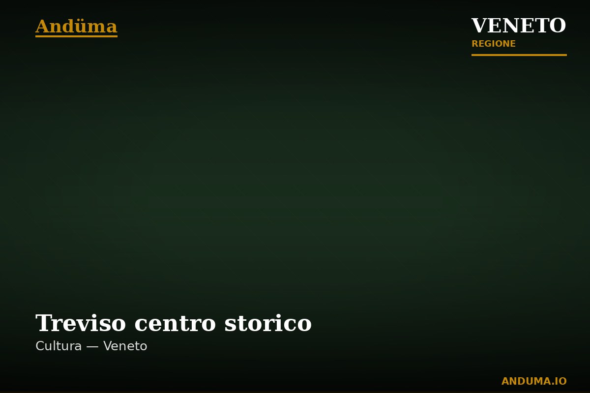 Treviso centro storico — Punto di interesse a Treviso, Treviso