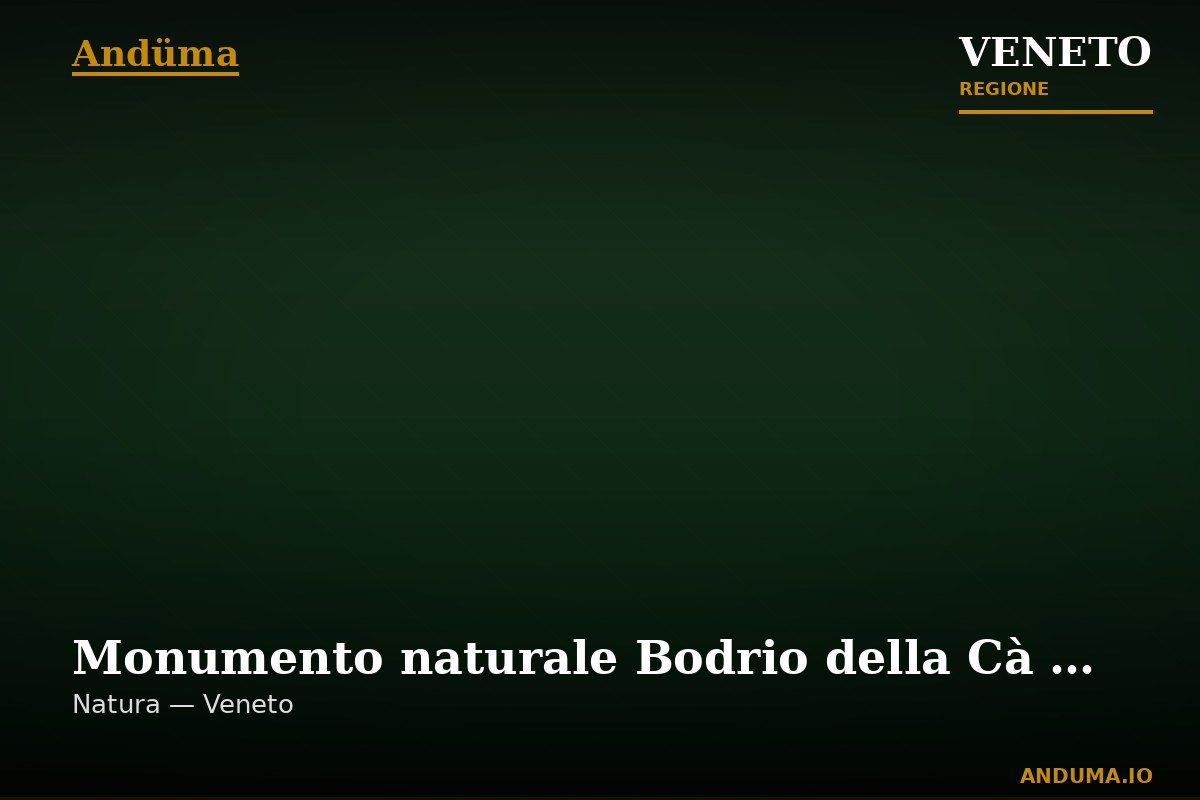 Monumento naturale Bodrio della Cà dei Gatti — Punto di interesse , Venezia