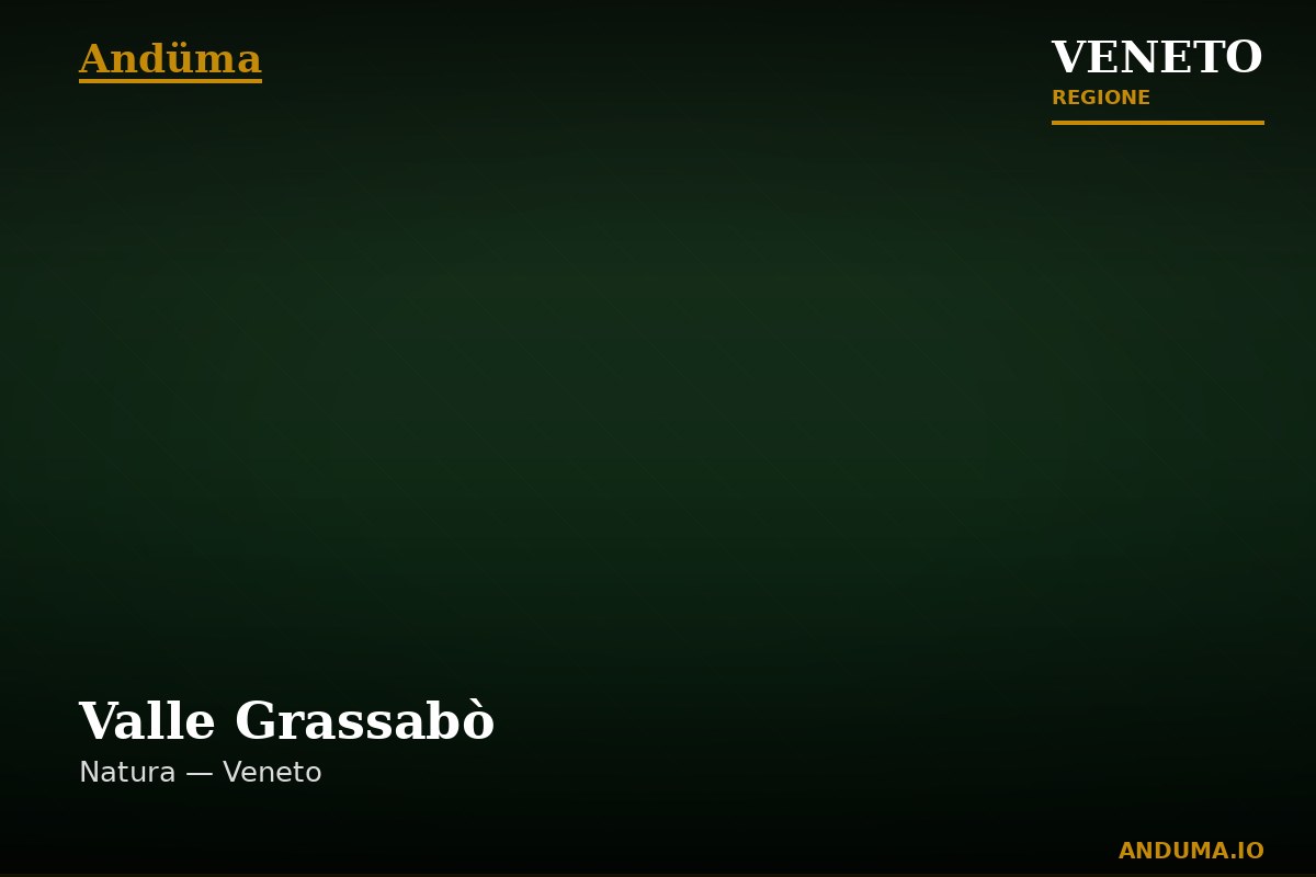 Valle Grassabò — Punto di interesse , Venezia