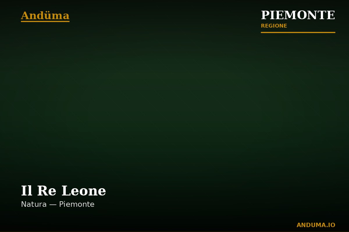 Il Re Leone