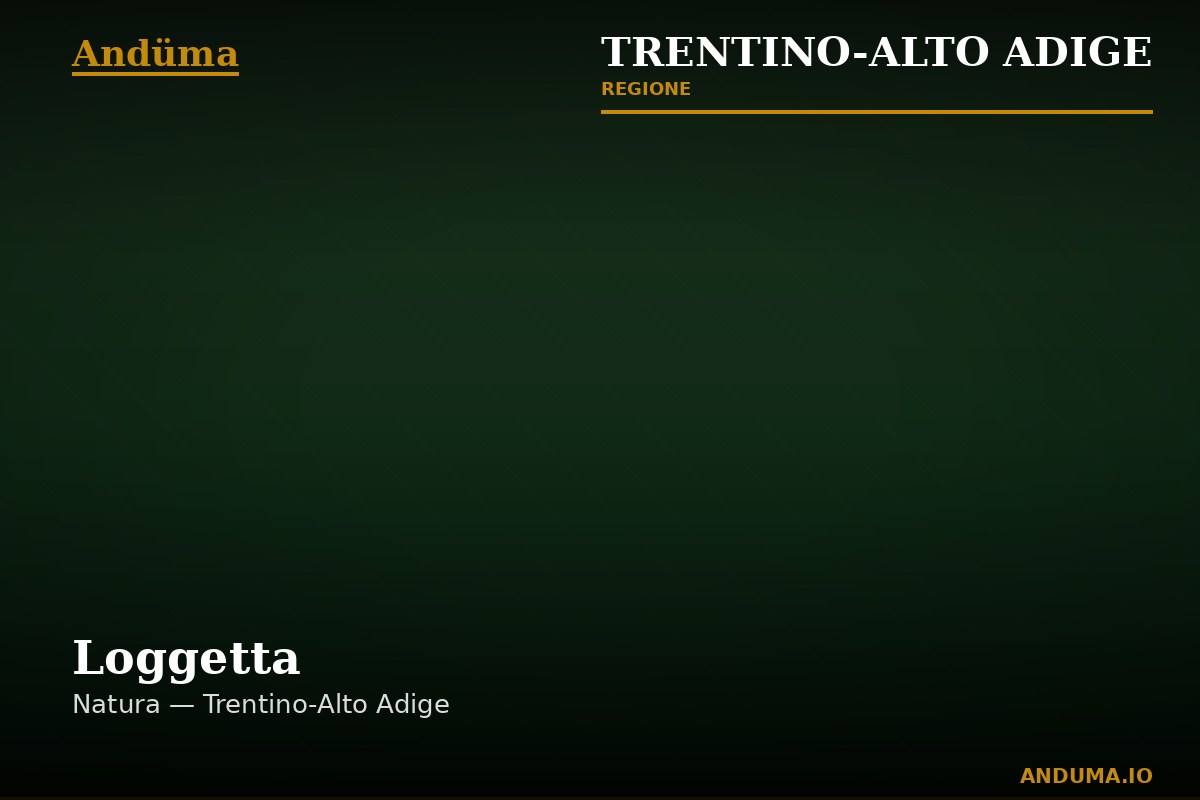 Loggetta — Punto di interesse a Trento, Trento