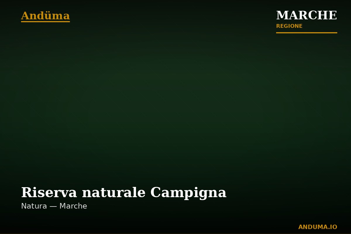 Riserva naturale Campigna — Punto di interesse , Ancona