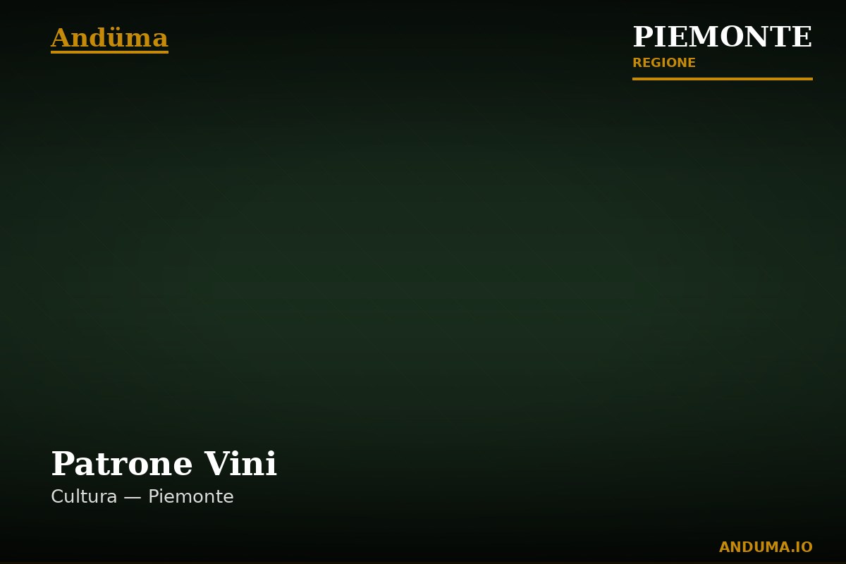Patrone Vini — Ristorante a Cortemilia, Cuneo