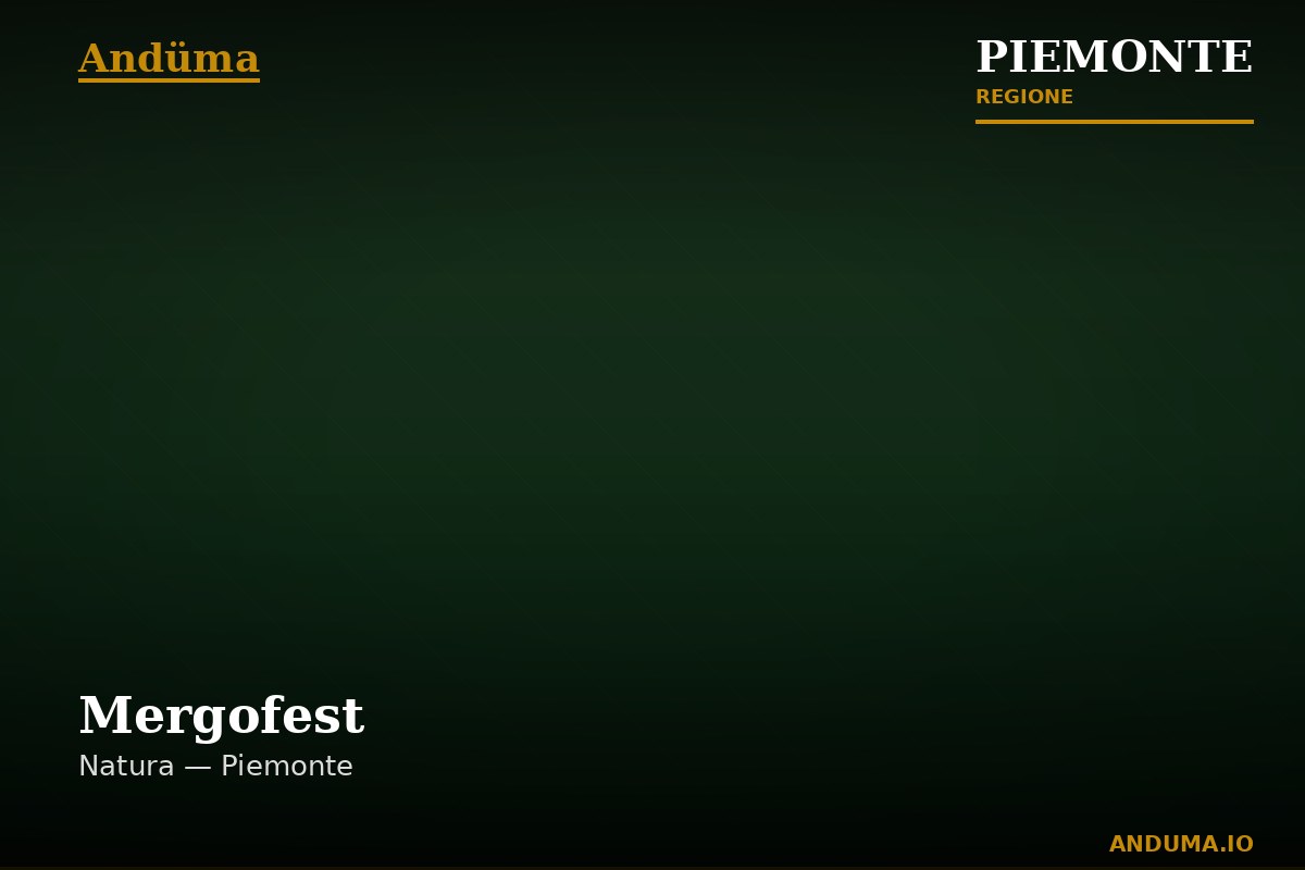 Mergofest
