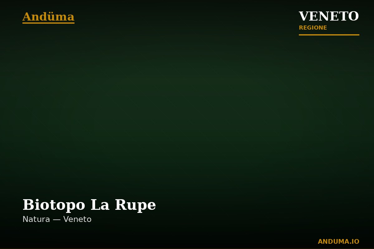 Biotopo La Rupe — Punto di interesse , Venezia