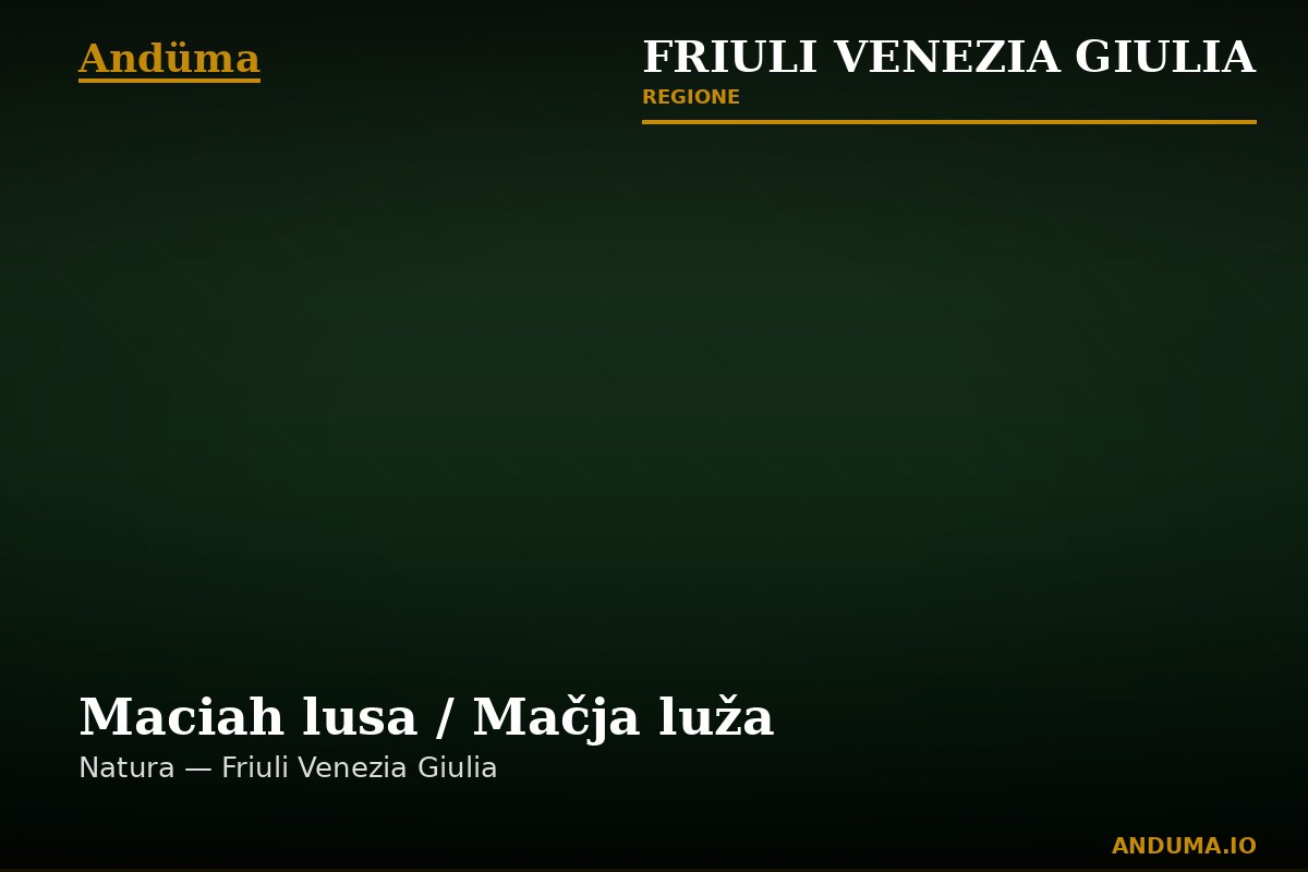 Maciah lusa / Mačja luža — Punto di interesse a Trieste, Trieste