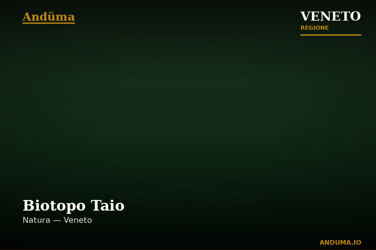 Biotopo Taio — Punto di interesse , Venezia
