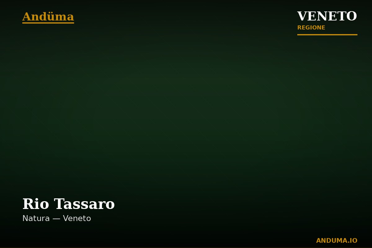 Rio Tassaro — Punto di interesse , Venezia