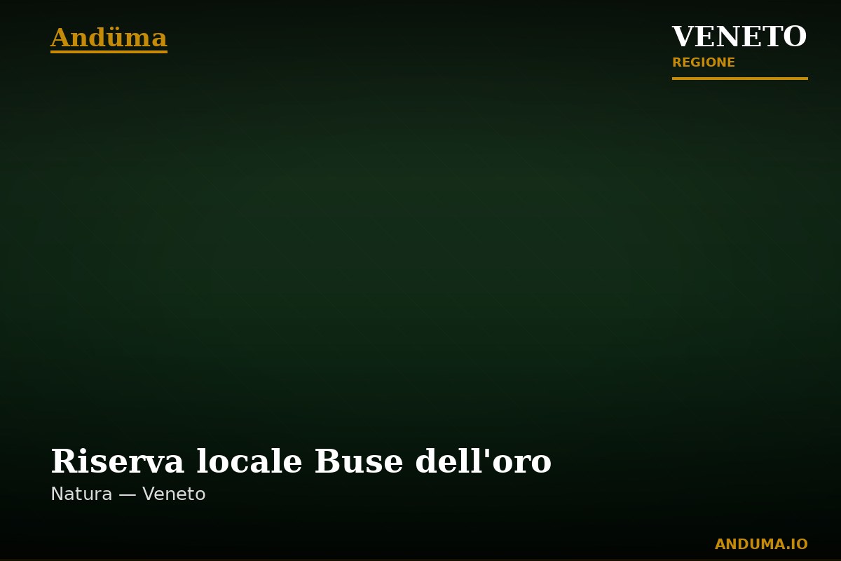 Riserva locale Buse dell'oro — Punto di interesse , Venezia