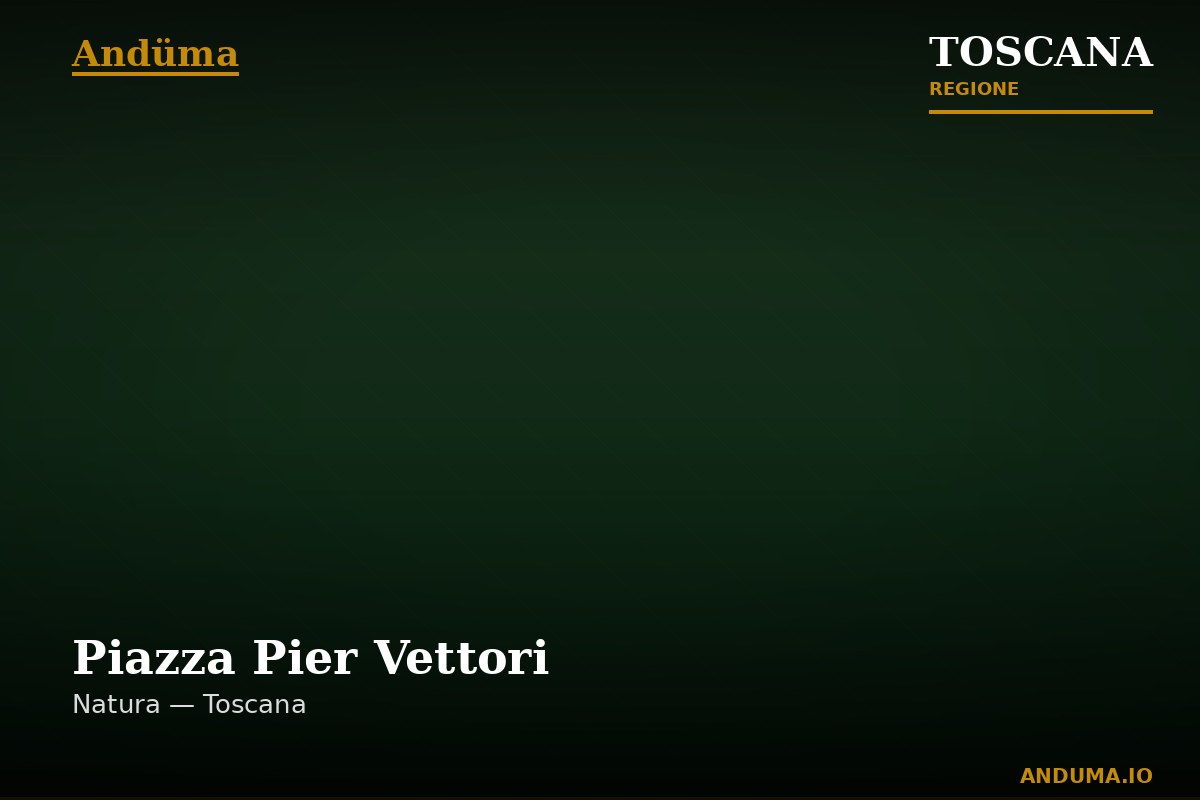 Piazza Pier Vettori — Punto di interesse a Firenze, Firenze