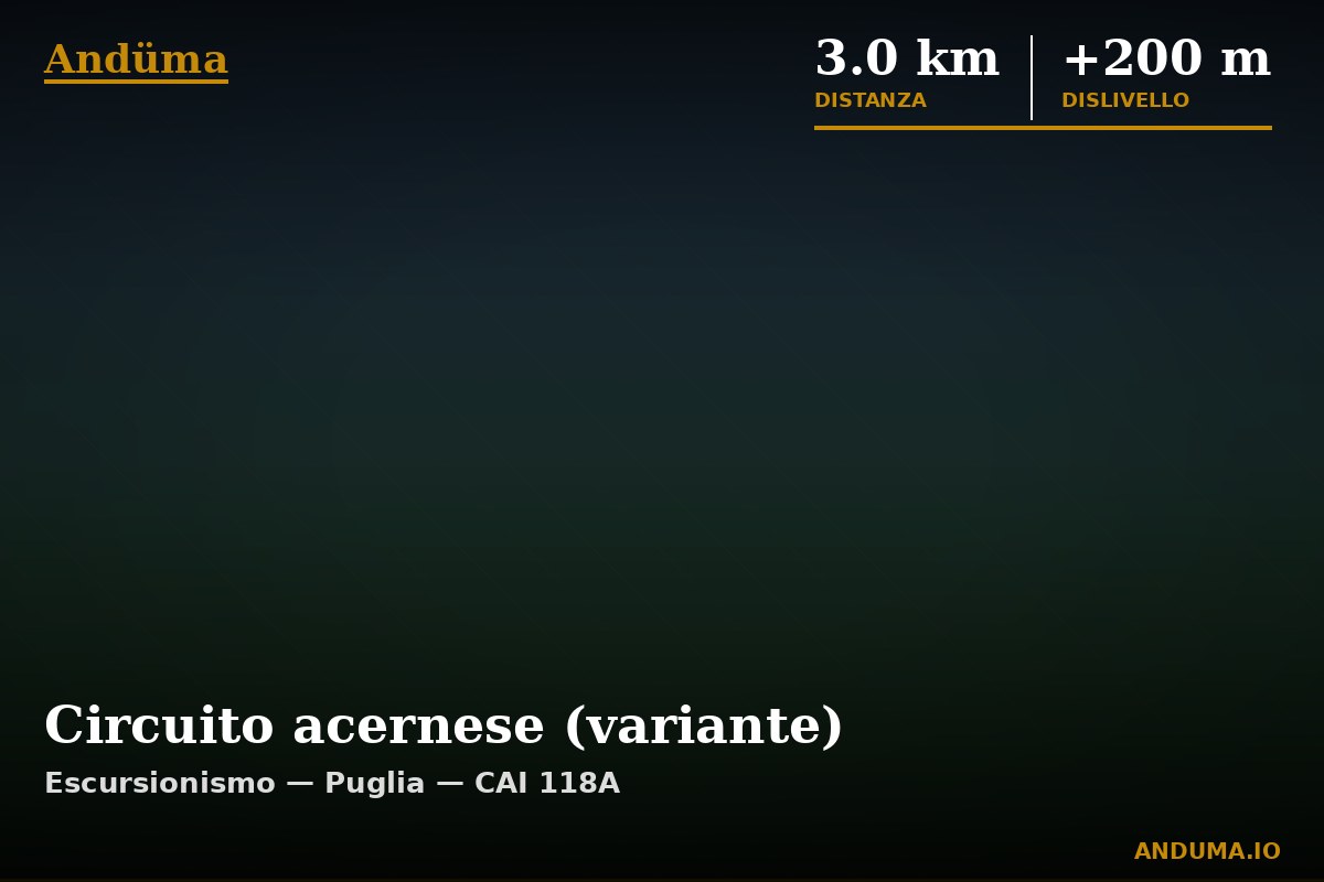 Circuito acernese (variante) — Punto di interesse , Piedmont