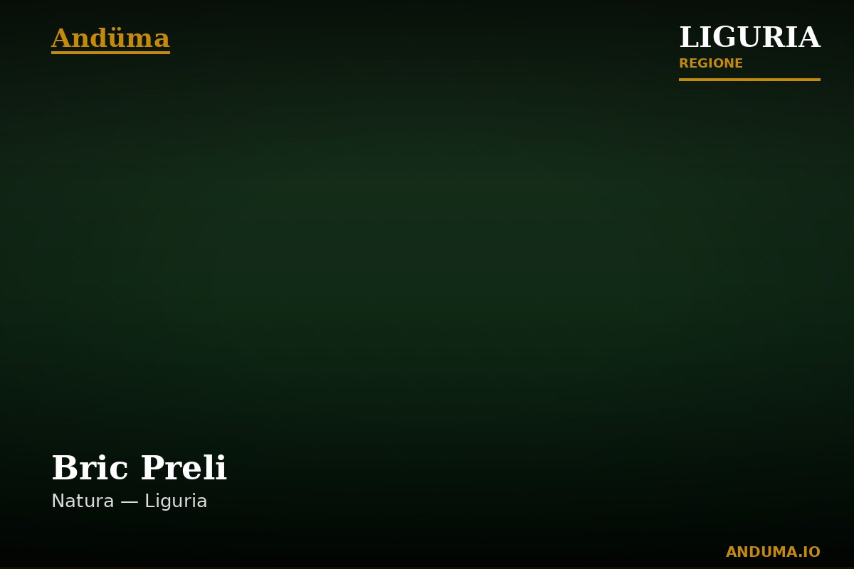 Bric Preli — Punto di interesse a Camogli, Genova